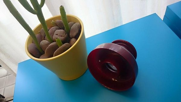 甜甜圈模-1   圓形甜甜圈模*1